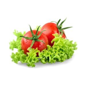 Fresh hydroponic cherry tomatoes with lettuce leaves